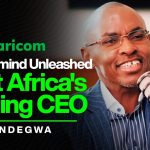 Peter Ndegwa's Insights and Strategies