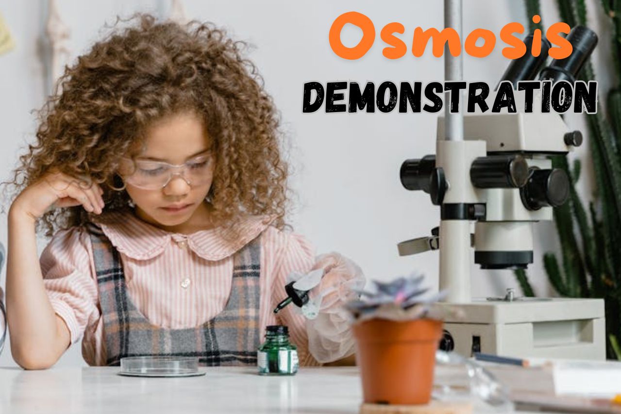 Osmosis demo