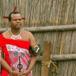 King Mswati