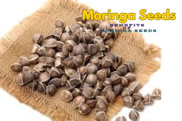 Moringa Seeds