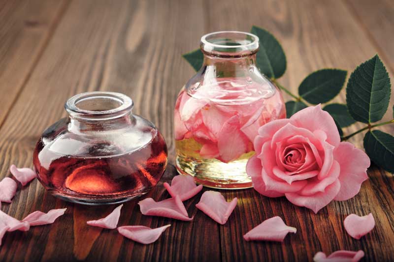 The Benefits of Using Rose Water on Your Face
