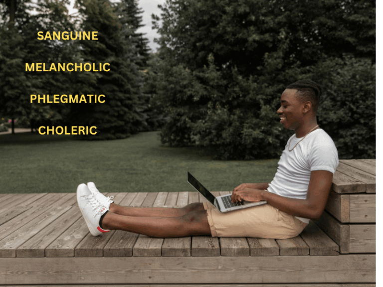 Temperament types