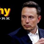 Elon Musk Work