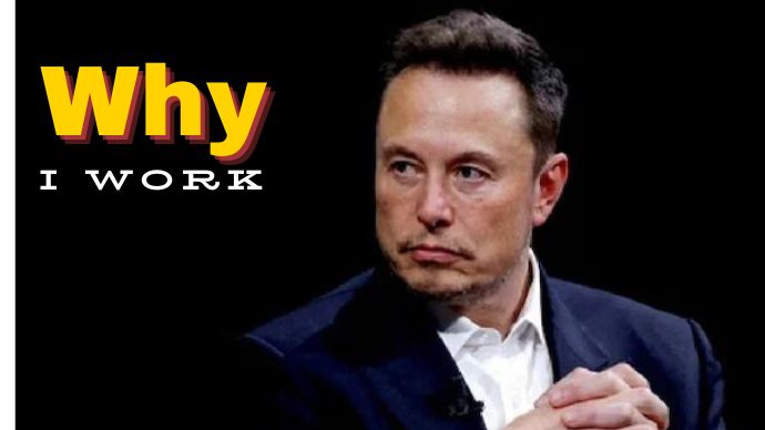 Elon Musk Work