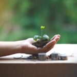 Students investing