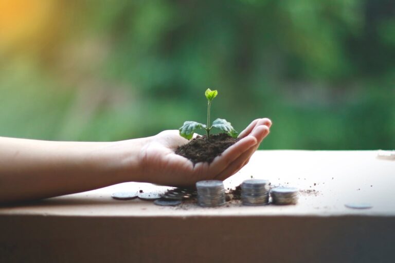 Students investing