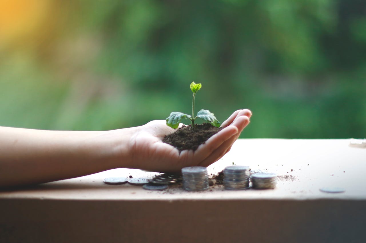 Students investing
