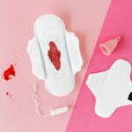 Menstrual Cycle