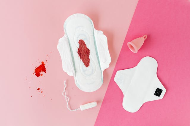 Menstrual Cycle