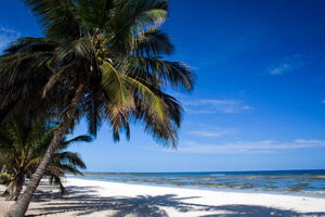 Kenyan Beach