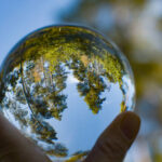 Importance of Biodiversity