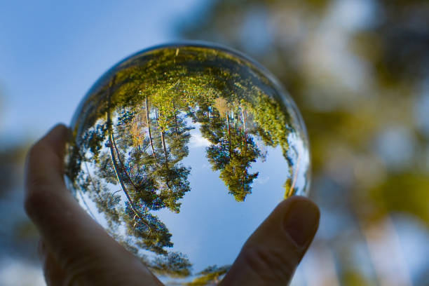 Importance of Biodiversity