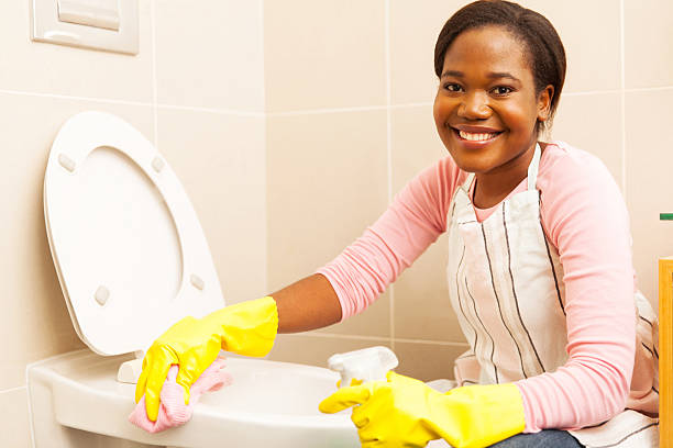 How to remove stains from toilet bowl