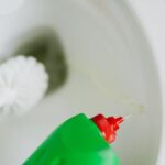 Toilet Bowl