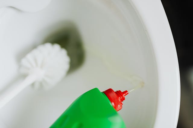 Toilet Bowl