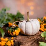 Pumpkin Leaves