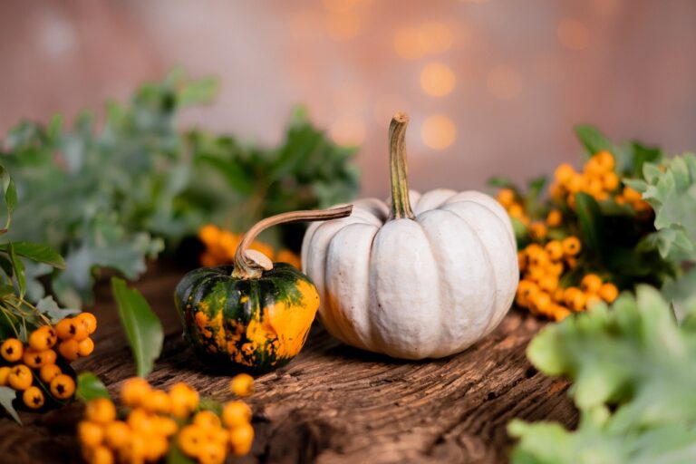 Pumpkin Leaves