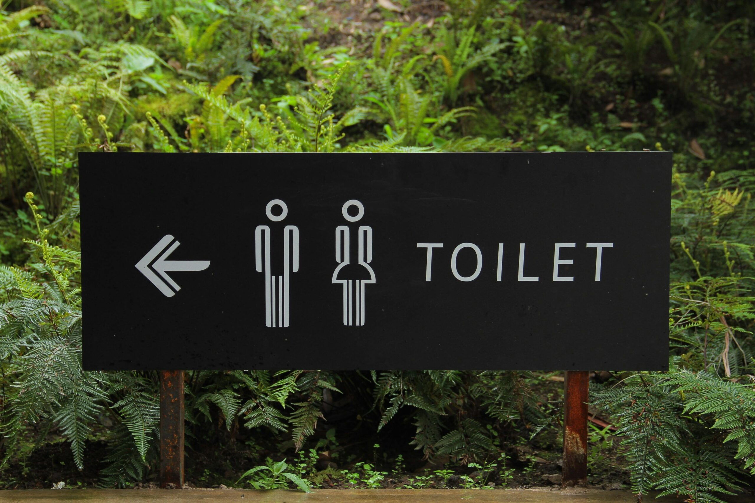 Constipation