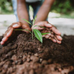 Observe Mazingira Day by planting a tree. .