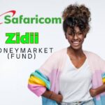 Ziidi Money Market Fund (1)