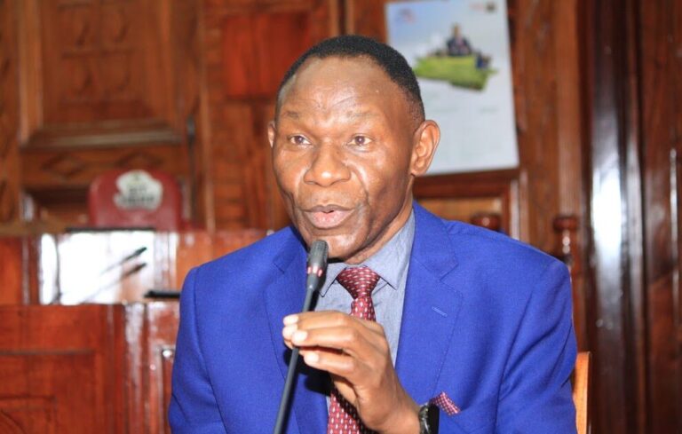 Prof. Bitange Ndemo VC Appointment
