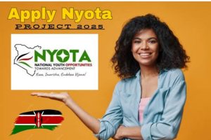 Apply Nyota Project USSD