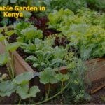 Vegetable Garden in Kenya