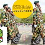 NYS Jobs 2026